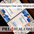 Kamagra Oral Jelly What Is It kamagra1